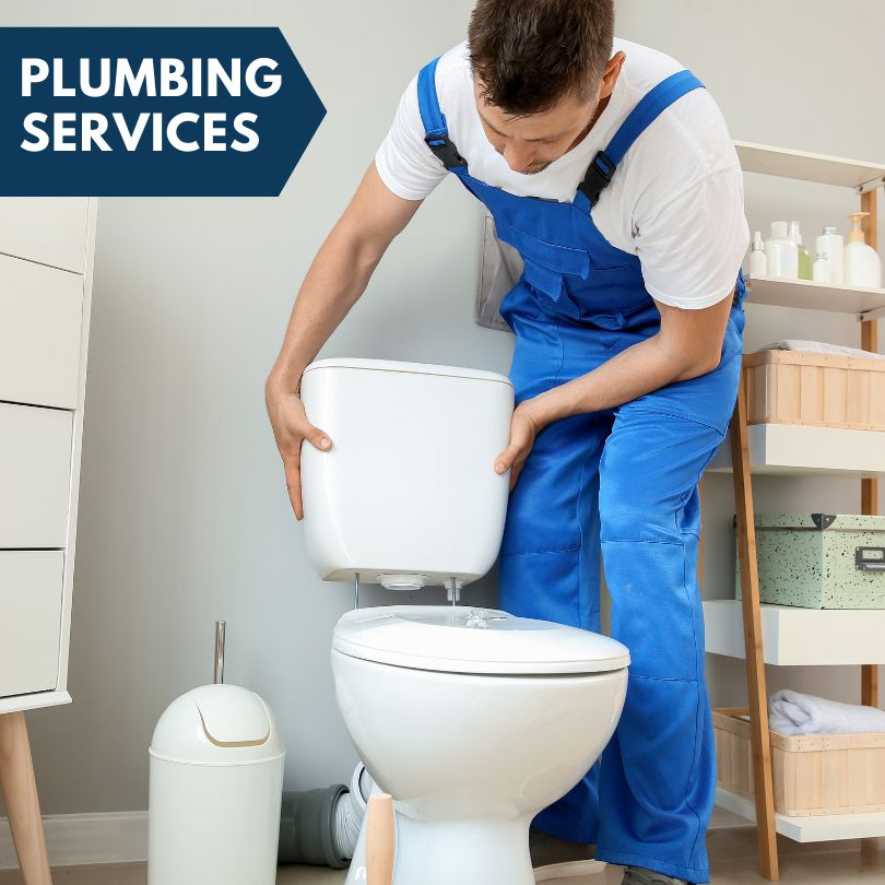 Plumbing Company in Baileyville, IL